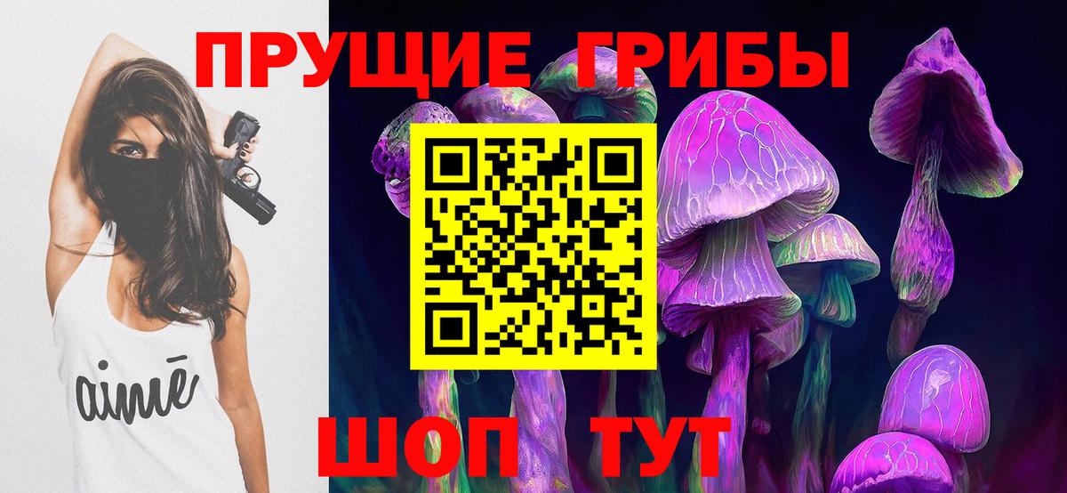 сколько стоит  Галлюциногенные грибы Cubensis  Вход с VPN  Сердобск  Галлюциногенные грибы Psilocybe 